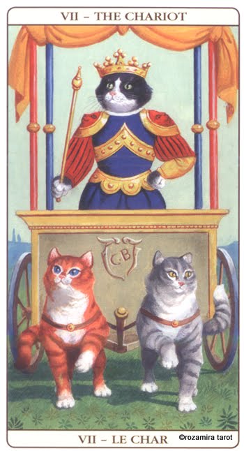 Marseille Cat Tarot